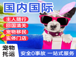 临沧博尚机场货运国际宠物托运 【国